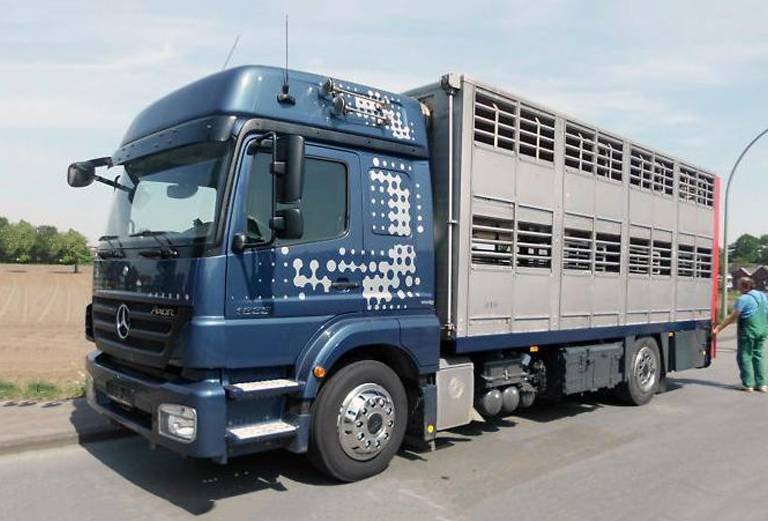 Прицеп для перевозки крупного рогатого скота из Ардатова в Мокшалей