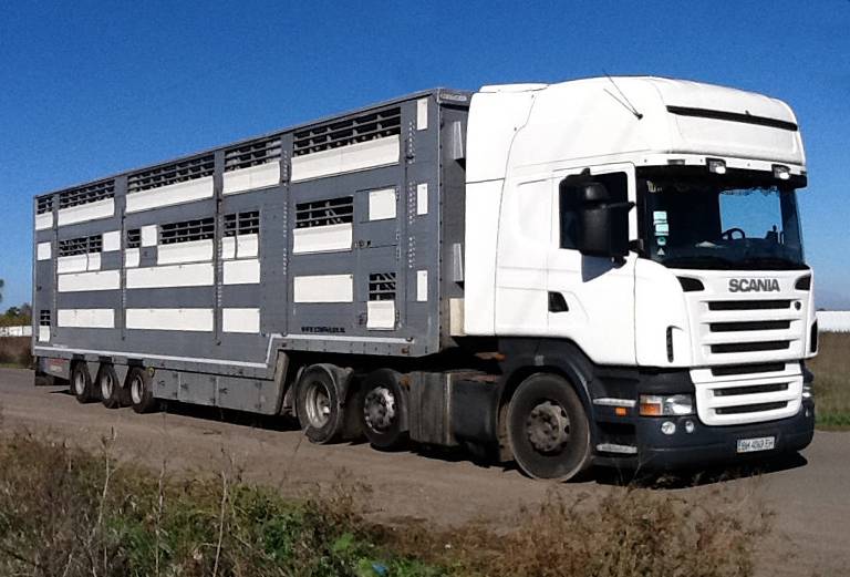 Заказать скотовоз для крупного рогатого скота из Садовского в Объединенный