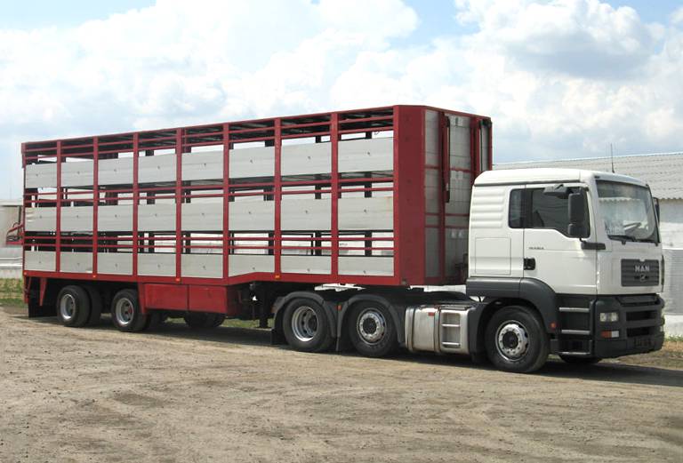 Прицеп для перевозки крупного рогатого скота из Садовского в Объединенный