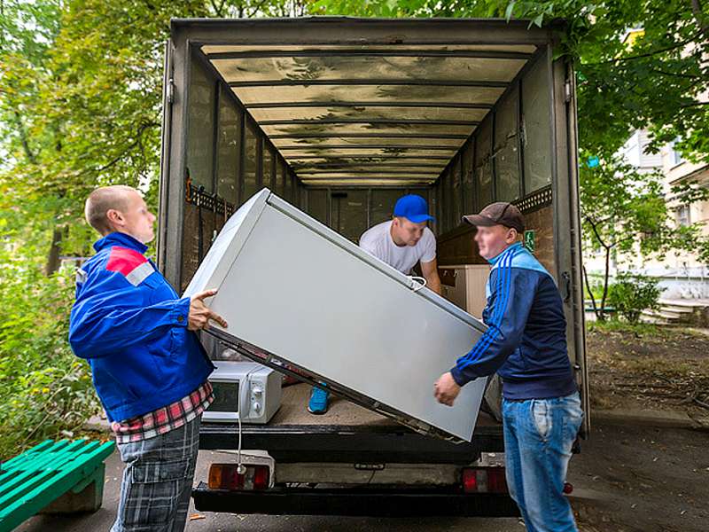 Горизонтальная перевозка холодильника из Саранска в Подлесную Тавла